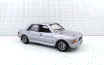 305_rallye_1981.jpg (85330 octets)